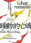 躁動的亡魂 : 太平天國戰爭的暴力、失序與死亡 = What remains : coming to terms with civil war in 19th century China