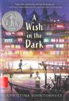 A Wish in the Dark